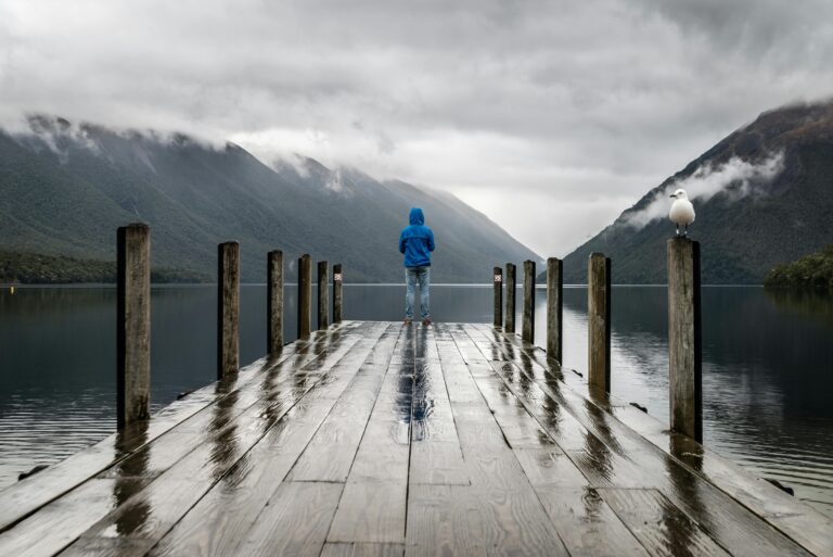 The Role of Nutrition in Relation to Bipolar Disorder and Mood Disorders